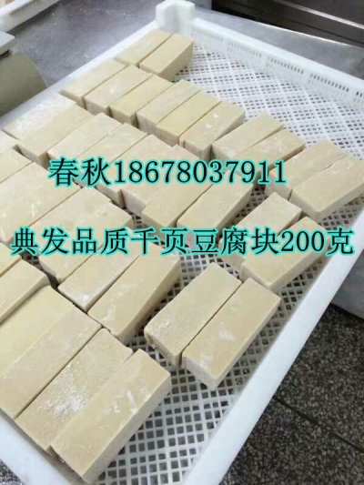 千頁（yè）豆腐無（wú）泡塊生產技術工藝真空去泡機