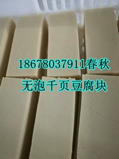 千頁豆腐無（wú）泡設備真空去泡（pào）機真空抽漿機春秋專