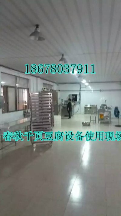 千頁（yè）豆腐設備高速斬漿機（jī）4500轉變頻調速成本低